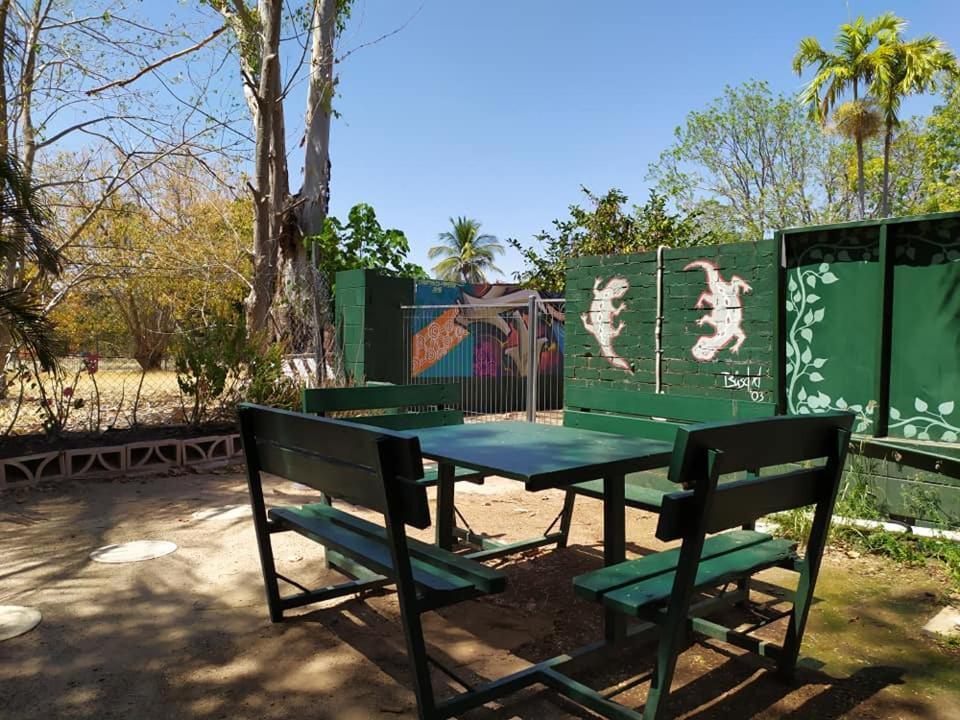 Palm Court Backpackers Hostel Katherine Exterior photo