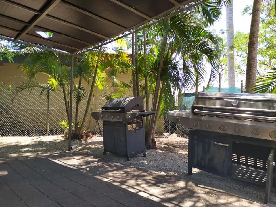 Palm Court Backpackers Hostel Katherine Exterior photo